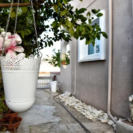 Lucky 4 * パラリムニ