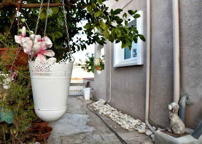 Lucky 4 * Paralímni